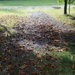 De Boskantien Extérieur