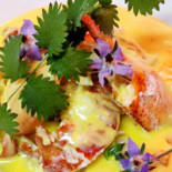 L'olivier Des Sens Nourriture