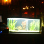 Bistro Ness À l'intérieur