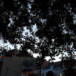 Le Petit Canon Extérieur