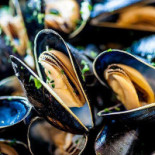 L'image De Marc Boisson