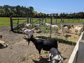 Eetcafé Oud Nijnsel
