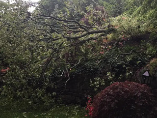 Bistro Duco Uden-Veghel (by Fletcher)