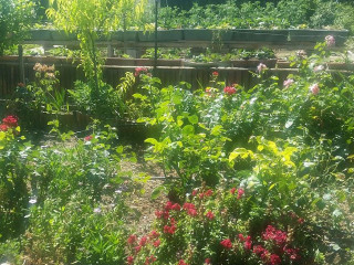 L'atelier Du Jardin Table De Convives