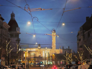 Koningin Elisabethlaan