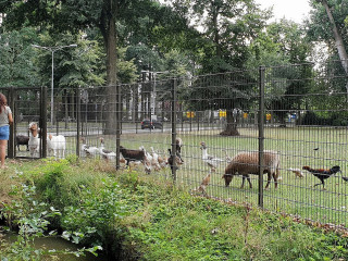 Vrouwenhof Speeltuin En Pannenkoekenrestaurant