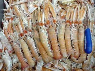 Tasca Den Haag Geverifieerd