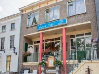 Roos Sali Aan De Haven