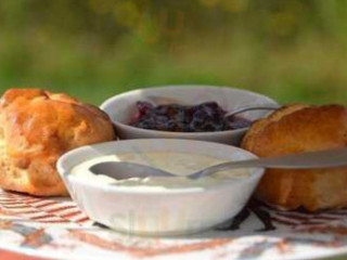 Theetuin Kamperfoelie