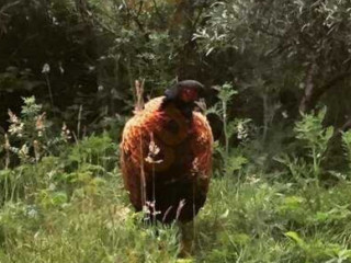 Noderstraun 54 Appartement Op Schiermonnikoog Schiermonnikoog Geverifieerd