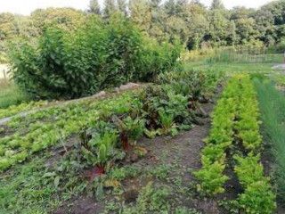 Hoeve Klein Mariëndaal