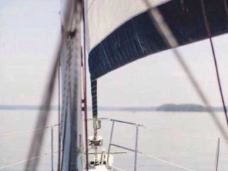 Bites&boats Buitenkaag