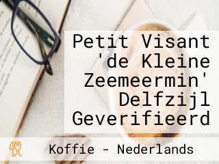 Petit Visant 'de Kleine Zeemeermin' Delfzijl Geverifieerd