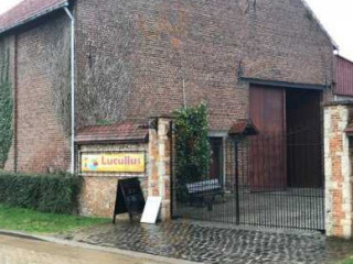 Lucullus Ambachtelijk Ijs