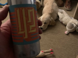 Massagesalon Happy End Forever After