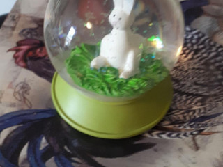 Kwalitaria Drielanden Harderwijk