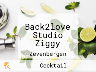 Back2love Studio Ziggy