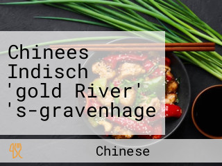 Chinees Indisch 'gold River' 's-gravenhage