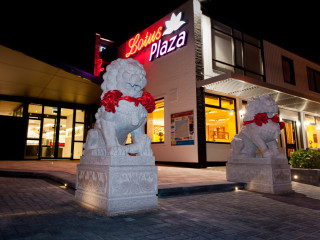 Lotusplaza Bv Feanwalden