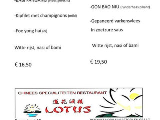 Chinees Specialiteiten Lotus Ruurlo