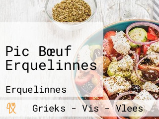 Pic Bœuf Erquelinnes