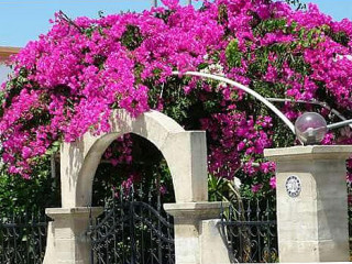 De Griek Take-away Beuningen