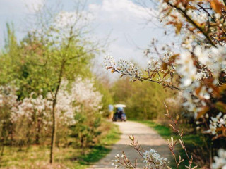 Landgoed Bleijenbeek