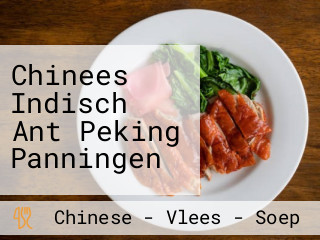 Chinees Indisch Ant Peking Panningen