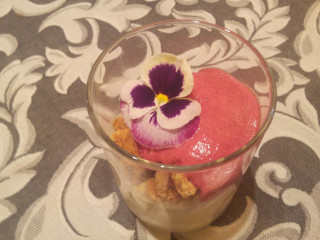 Steen Grill Sphinx Ii