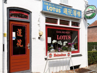 Chinees Indisch Lotus