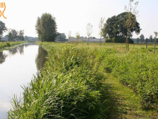 Stichting Dier Tuin Weide Heeswijk-dinther