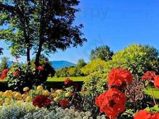 Cafetaria De Vergulde Erpel Waalwijk