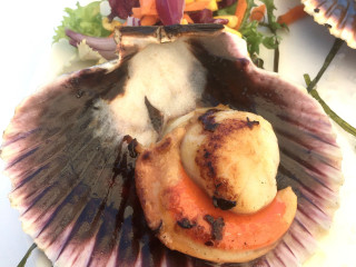 Kaasboerderij De Zuidgeest