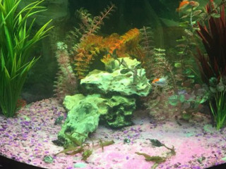 Croissanterie Het Waterpoortje