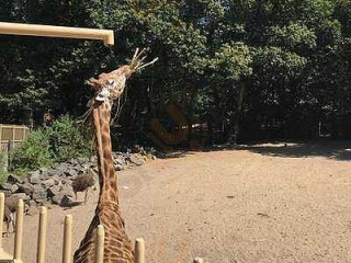 Ouwehands Dierenpark-parkrest.