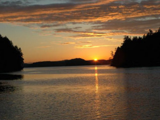 Dana Surhuisterveen Geverifieerd