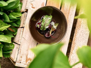 Eetcafe Veenomenaal Bedum Geverifieerd