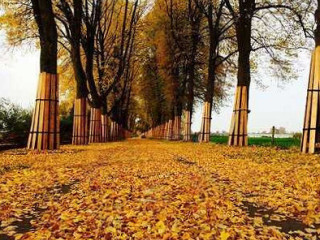 Pannenkoekenhuis De Zon