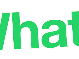 Chinees Afhaalrestaurant/cafetaria Finefood