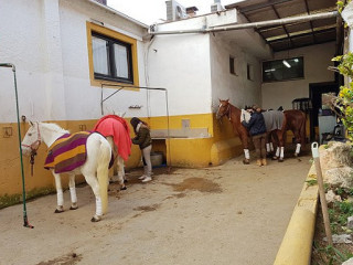 Du Légume à La Soupe
