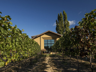 Lunchcafé De Schenkerij