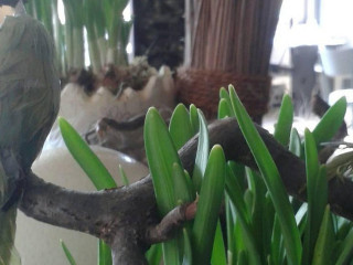 Cafe-brasserie Tegendeel