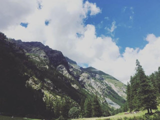 Steak Rib House Big Texas