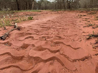Sprakel Eten Drinken