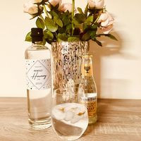 Ground Control Natural Dry Gin